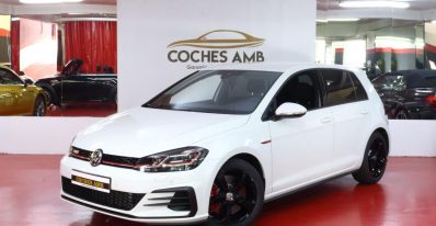 VOLKSWAGEN Golf GTI Performance 2.0 TSI 180kW245CV DSG (0)