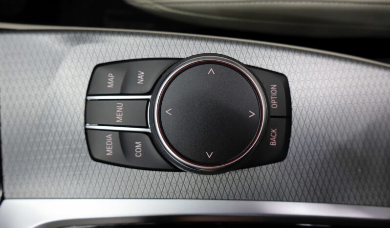 BMW X4 xDrive20i M lleno