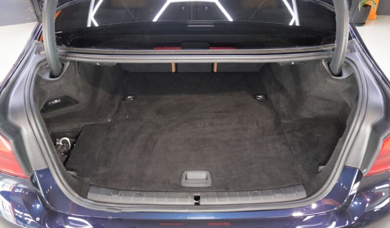 BMW 530e iPerformance lleno