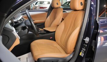 BMW 530e iPerformance lleno
