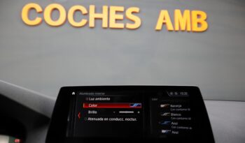 BMW 530e iPerformance lleno