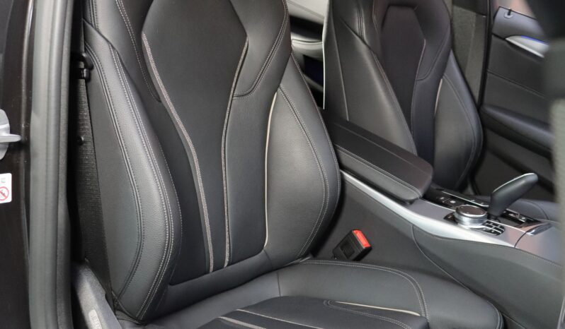 BMW 530e M iPerformance lleno