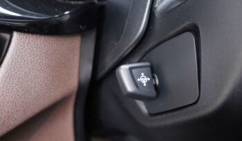 BMW 530e lleno