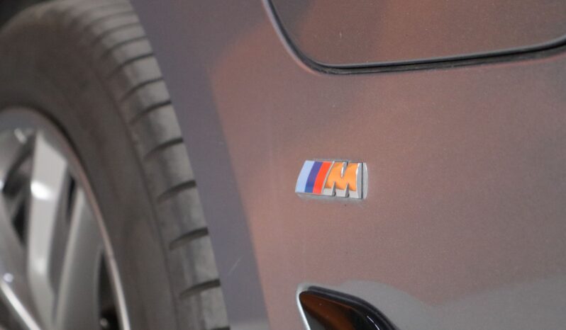 BMW 530e M iPerformance lleno