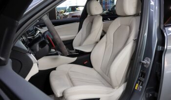 BMW 530e M iPerformance lleno