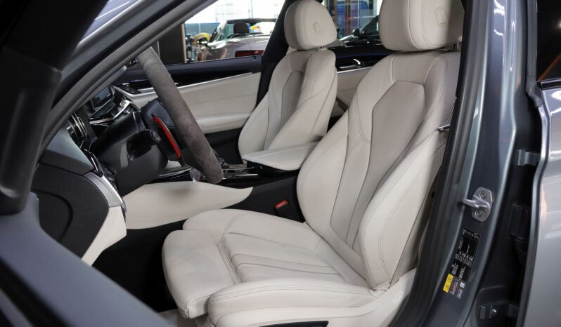 BMW 530e M iPerformance lleno