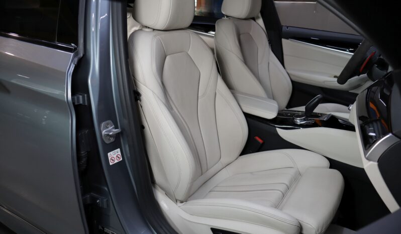 BMW 530e M iPerformance lleno