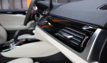 BMW 530e M iPerformance lleno