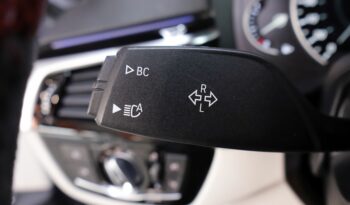 BMW 530e M iPerformance lleno