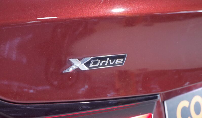 BMW 530e xDrive Touring M lleno