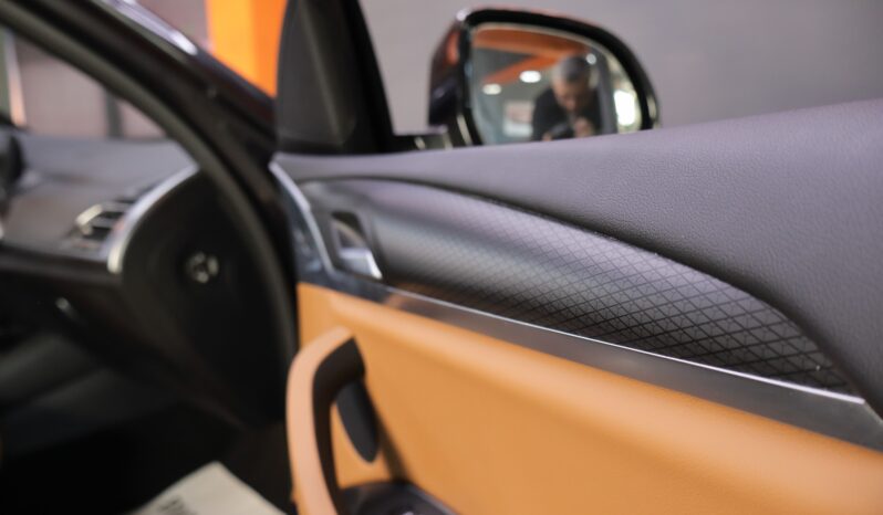 BMW X3 xDrive30e M lleno