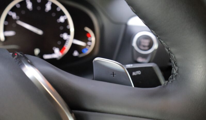 BMW X4 xDrive20d lleno