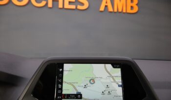 BMW X4 xDrive20d lleno